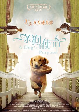 亚洲高清资源综合久久精品